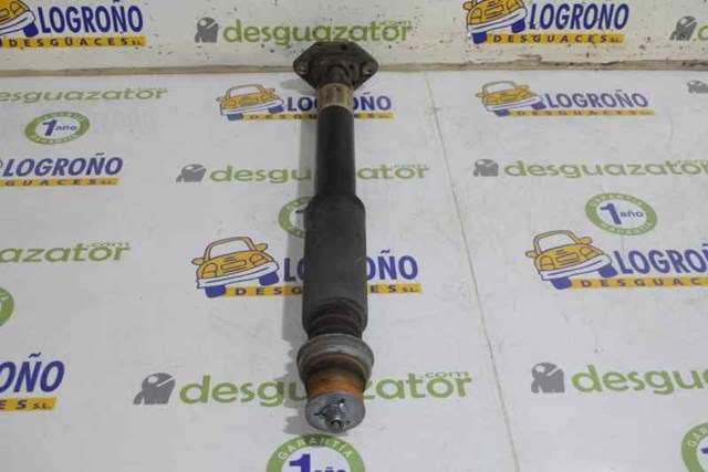 Amortiguador trasero BMW 1 E81, E87