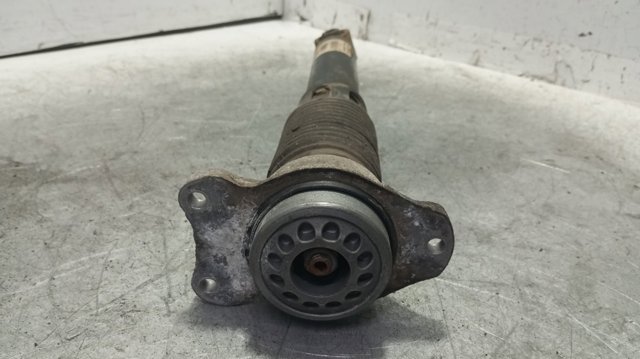 33526797771 BMW Amortiguador trasero  comprar en Oviedo