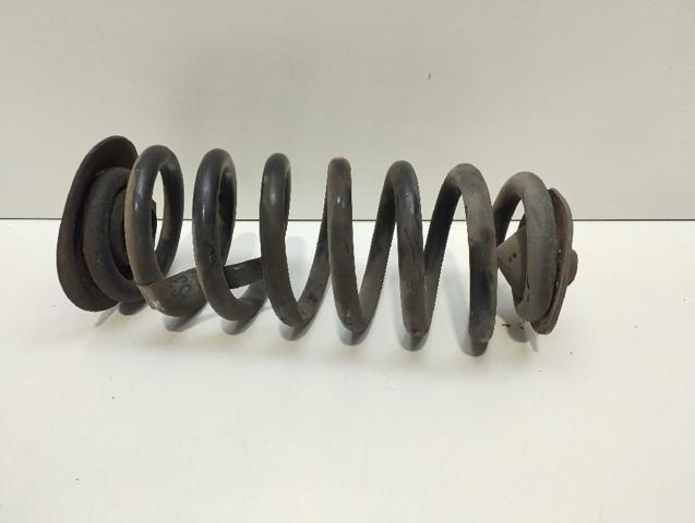 Muelle trasero BMW X5 (2000-2006)
