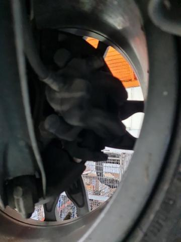 34216850859 BMW