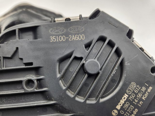 351002A600 Cuerpo de mariposa comprar Almería
