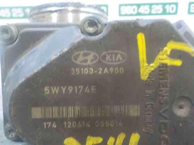 351002A900 Cuerpo de mariposa comprar Almería