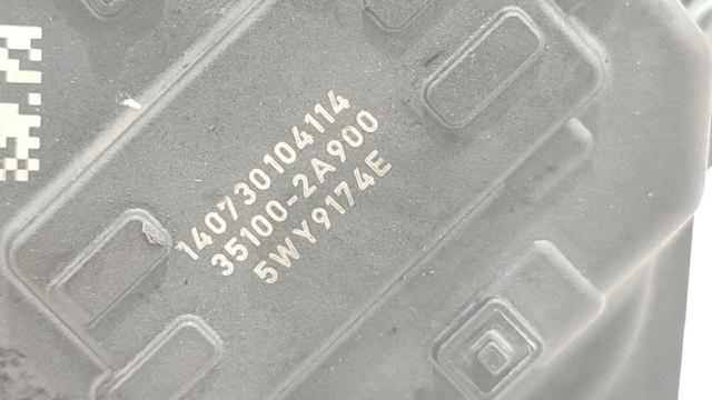 351002A900 Cuerpo de mariposa comprar Sevilla