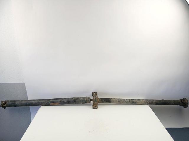 370005068R Renault (RVI)
