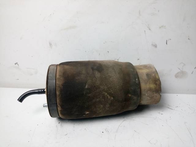 37126750355 BMW