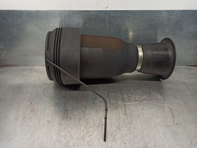 37126790081 BMW