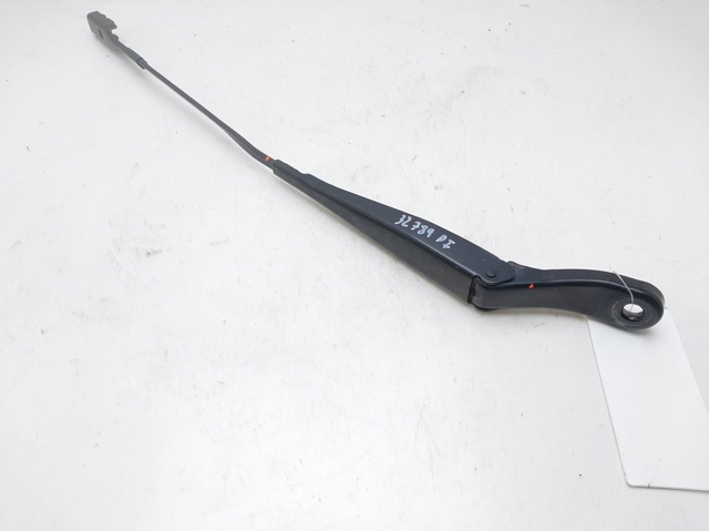 Brazo del limpiaparabrisas, delantero Citroen C3 II (2R, 2C)