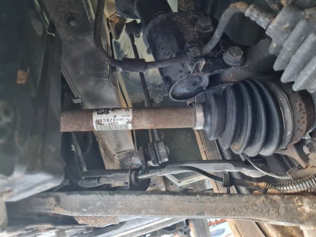 391017851R Renault (RVI)