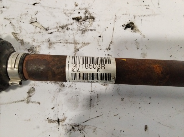 391018503R Renault (RVI)