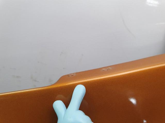 Aleta delantera izquierda Opel CROSSLAND 10 P17