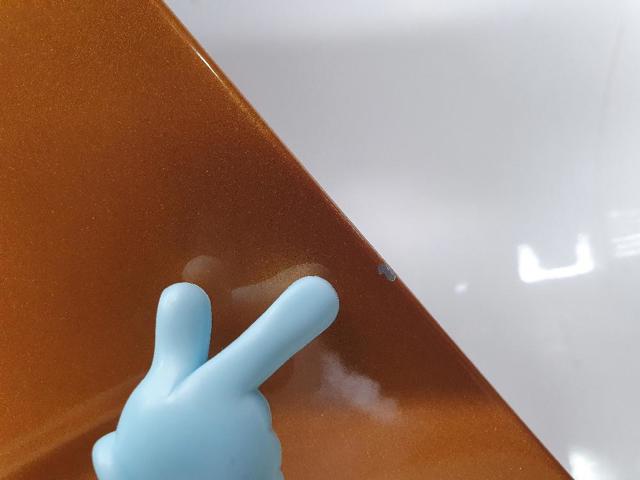 Aleta delantera izquierda Opel CROSSLAND 10 P17