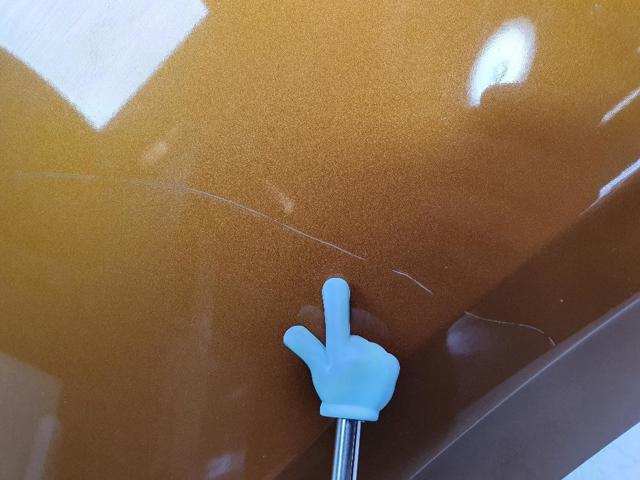 Aleta delantera izquierda Opel CROSSLAND 10 P17