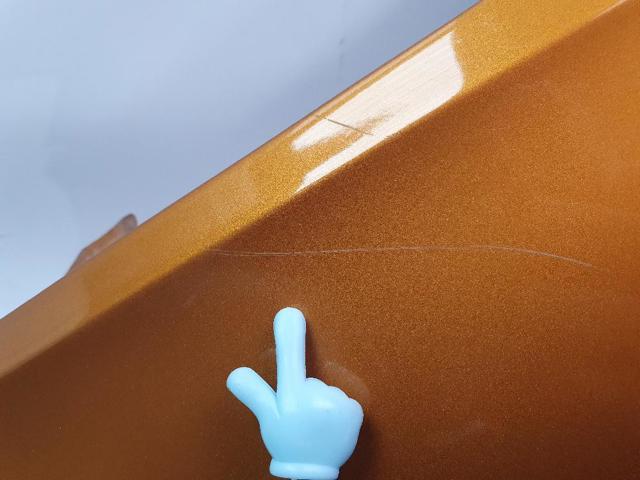 Aleta delantera izquierda Opel CROSSLAND 10 P17