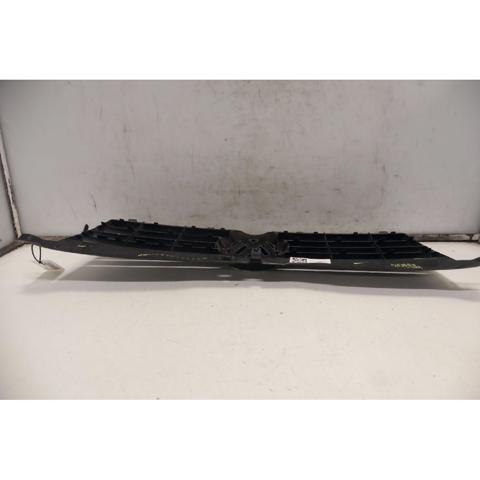 VAG 3B0853651L3FZ Parrilla del radiador  comprar en Murcia