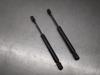 Muelle neumatico maletero 3B5827550A VAG