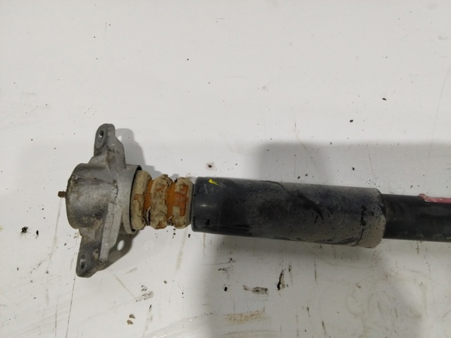 3C0513049BD VAG Amortiguador trasero  comprar en Jaén