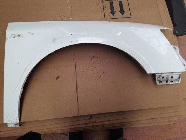 Aleta delantera derecha 3C0821022 VAG