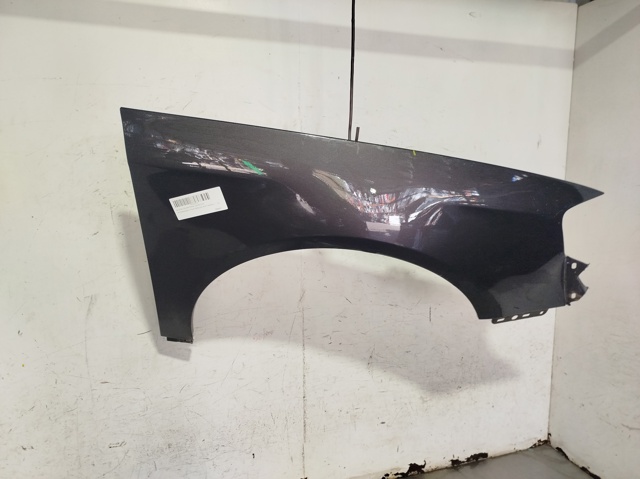 Aleta delantera derecha 3C0821022 VAG