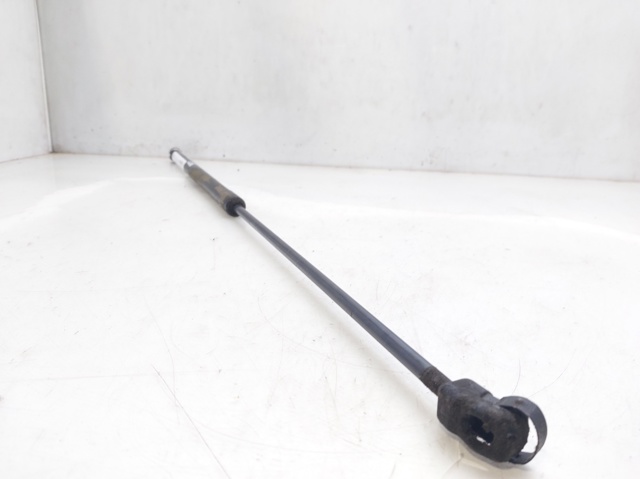 VAG 3C0823359A Amortiguador de capó  en stock Valencia