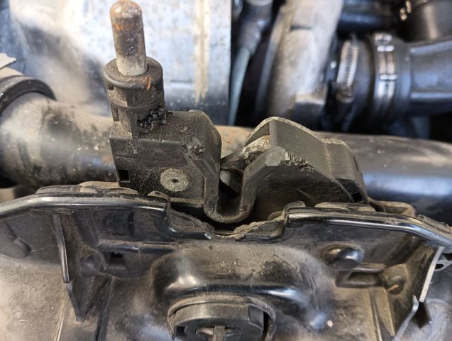 3M5116700 FORD Cerradura del capó  comprar en Lleida