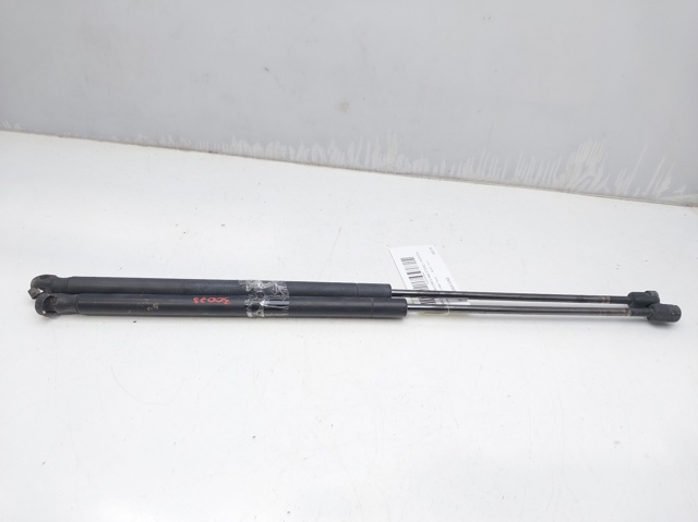 FORD 3M51R406A10AB Amortiguador de la tapa del maletero  comprar en Albacete