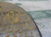 402060010R Renault (RVI)