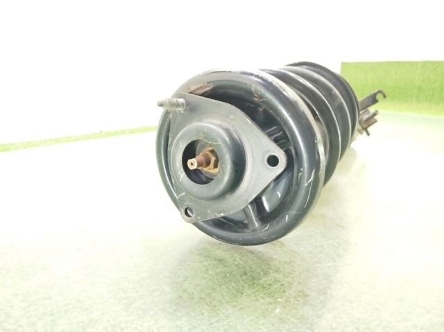 4060A173 Amortiguador delantero izquierdo  disponible Burgos