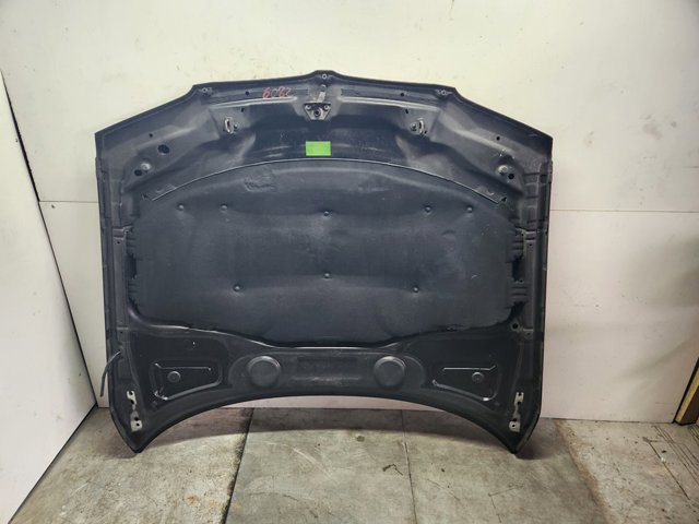 41003449411 Capó  disponible Burgos