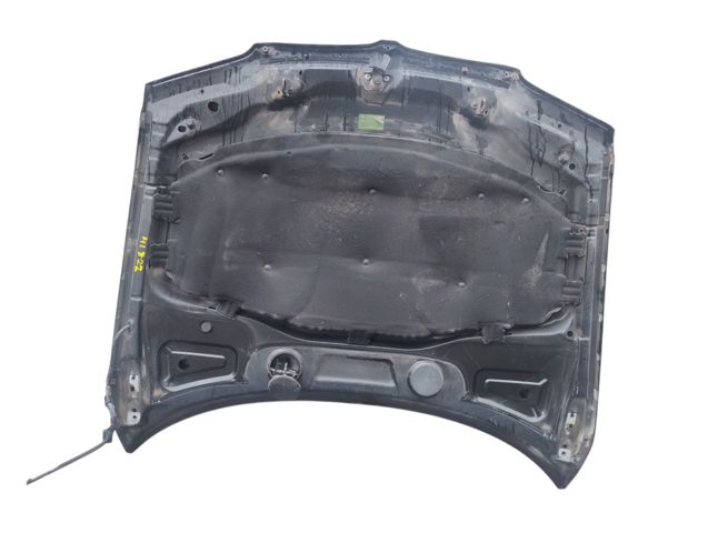BMW 41003449411 Capó comprar Pamplona
