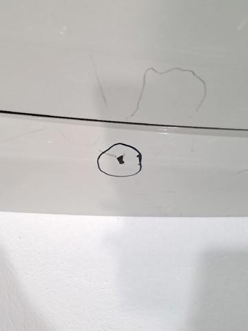 BMW 41003452197 Puerta trasera  en stock Valencia