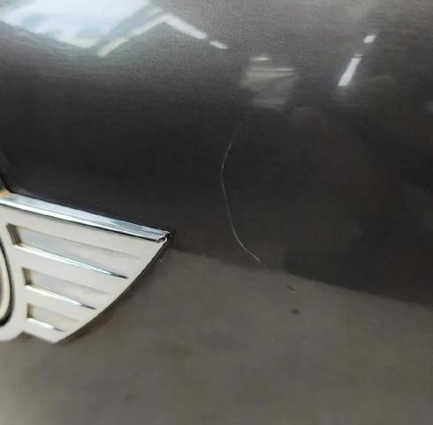 41009811574 Puerta trasera comprar Almería