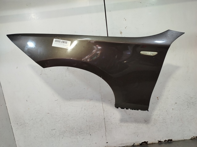 Aleta delantera izquierda BMW 1 E81, E87