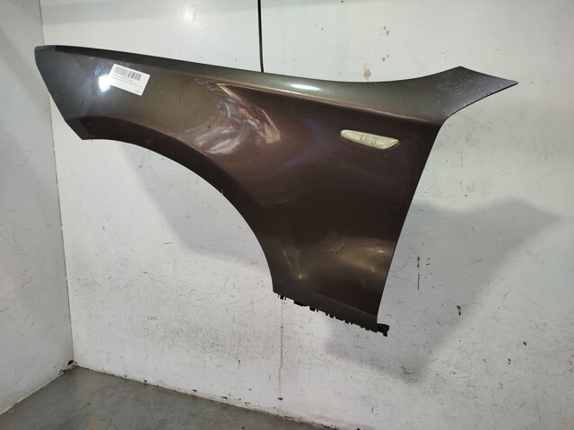 Aleta delantera izquierda BMW 1 E81, E87