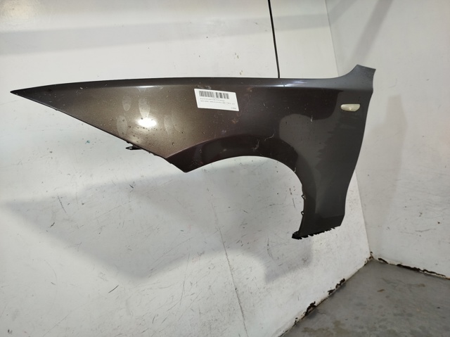 Aleta delantera izquierda BMW 1 E81, E87