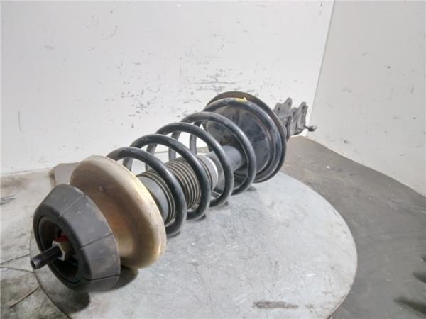 4160162J31 Amortiguador delantero derecho  comprar en Pontevedra