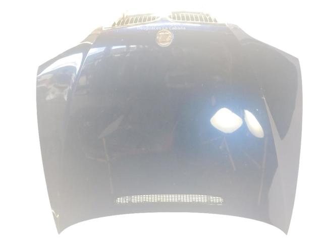Capó delantero 41617042893 BMW