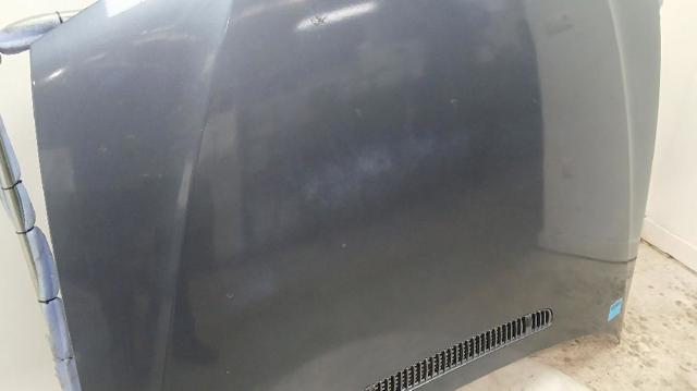 41617042893 Capó  disponible Burgos