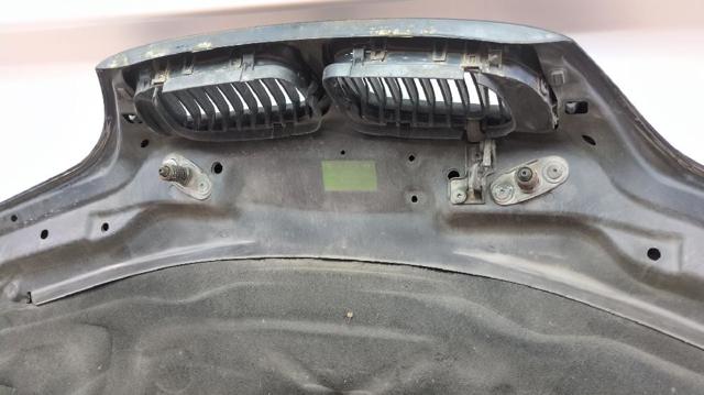 41617042893 BMW Capó  en stock Córdoba