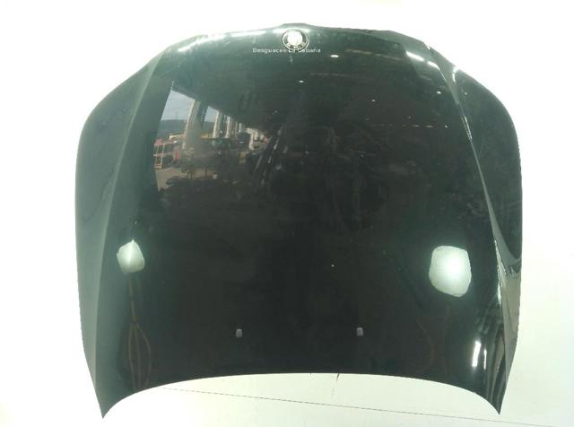 BMW 41617111385 Capó  disponible Valladolid