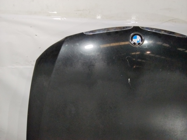 Capó del motor BMW 3 E90