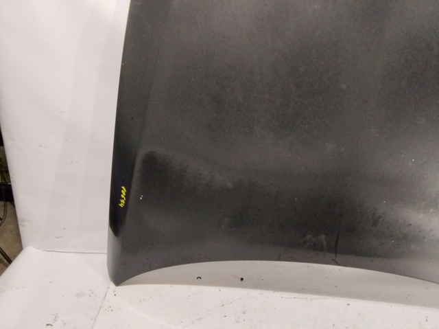 Capó del motor BMW 3 E90