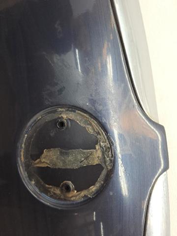 Capó del motor BMW 3 E90