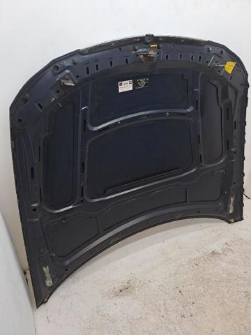 Capó del motor BMW 3 E90