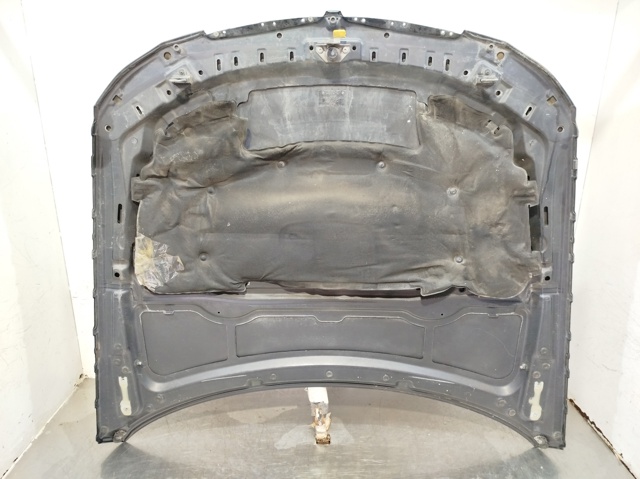 Capó del motor BMW 3 E90