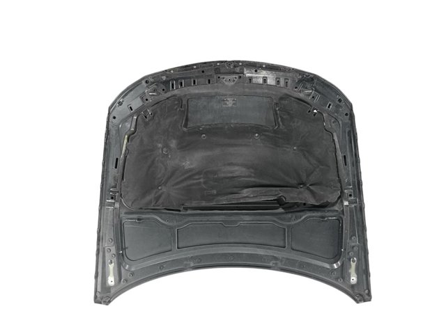 Capó del motor BMW 3 E90