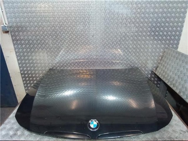 BMW 41617140729 Capó  en stock Salamanca