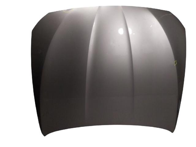 Capot 41617207194 BMW