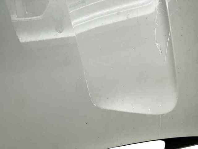 Capó delantero 41617267337 BMW
