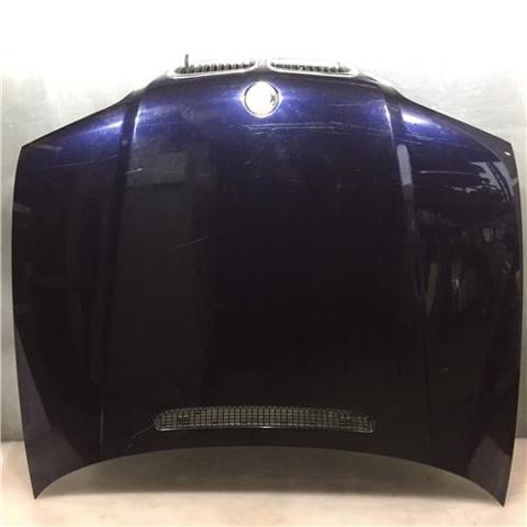 Capó del motor 41618238461 BMW