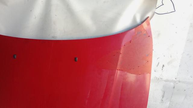 Capó del motor BMW 1 E81